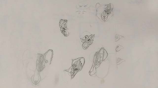 Sketches of the mask